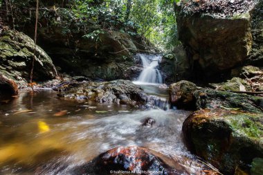 Derin bir yağmur ormanında şelale / dere.