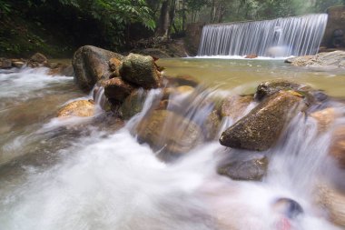 Derin bir yağmur ormanında şelale / dere.