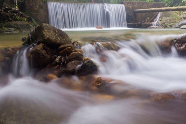 Derin bir yağmur ormanında şelale / dere.