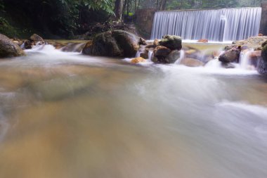 Derin bir yağmur ormanında şelale / dere.