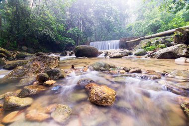 Derin bir yağmur ormanında şelale / dere.