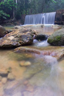 Derin bir yağmur ormanında şelale / dere.
