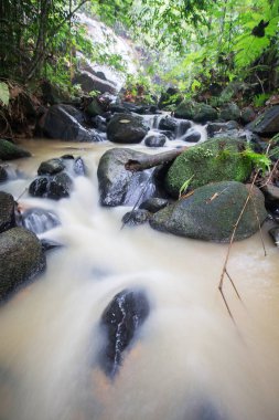 Derin bir yağmur ormanında şelale / dere.