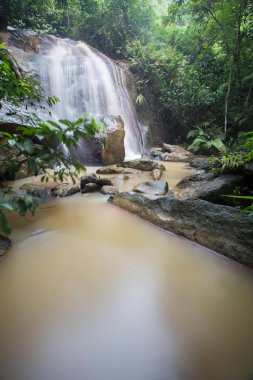 Derin bir yağmur ormanında şelale / dere.