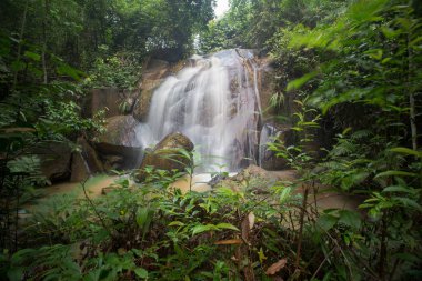 Derin bir yağmur ormanında şelale / dere.