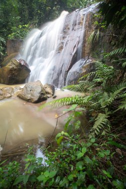Derin bir yağmur ormanında şelale / dere.
