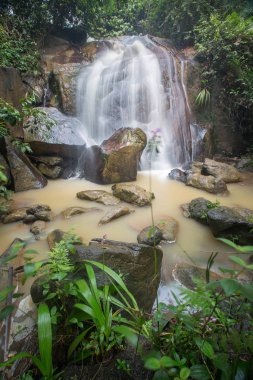 Derin bir yağmur ormanında şelale / dere.