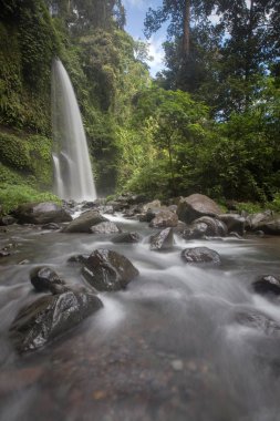 Derin bir yağmur ormanında şelale / dere.