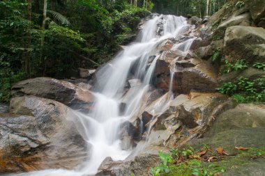 Derin bir yağmur ormanında şelale / dere.