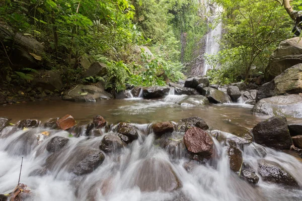 Derin bir yağmur ormanında şelale / dere.