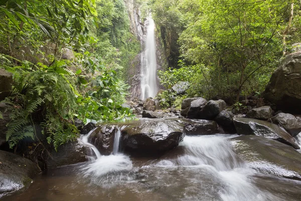 Derin bir yağmur ormanında şelale / dere.