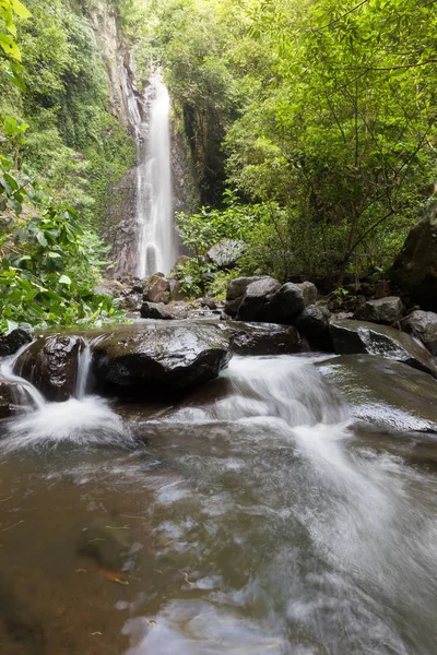 Derin bir yağmur ormanında şelale / dere.