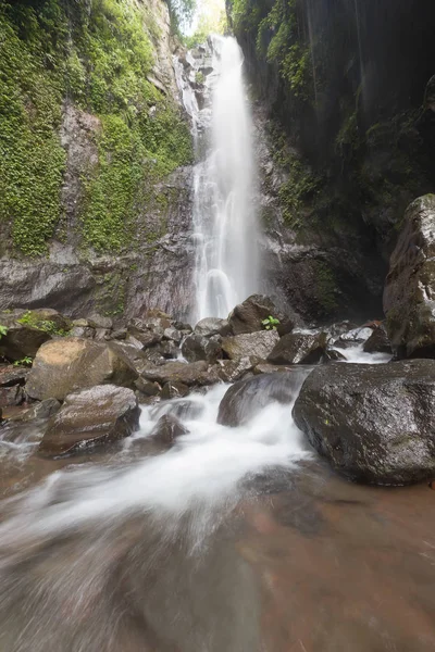 Derin bir yağmur ormanında şelale / dere.