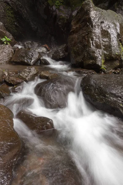 Cachoeira Riacho Uma Floresta Tropical Profunda — Fotografia de Stock