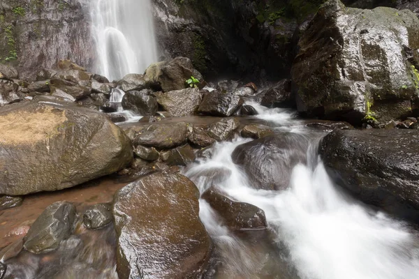Derin bir yağmur ormanında şelale / dere.