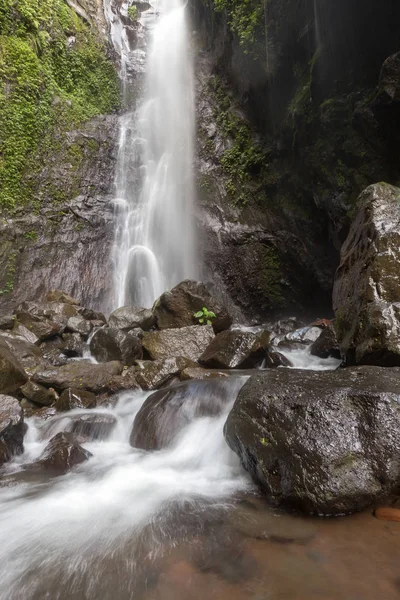 Derin bir yağmur ormanında şelale / dere.