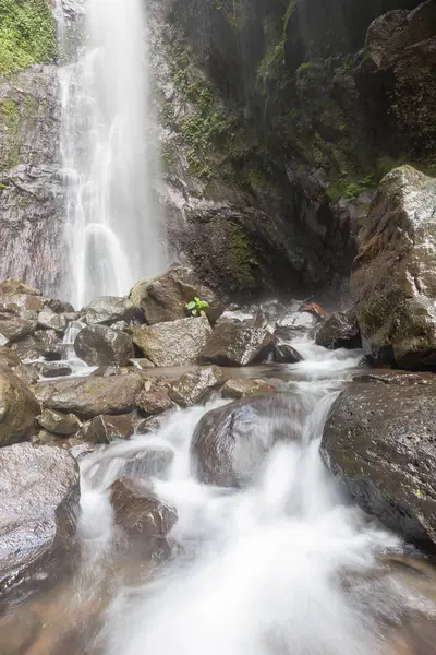 Derin bir yağmur ormanında şelale / dere.