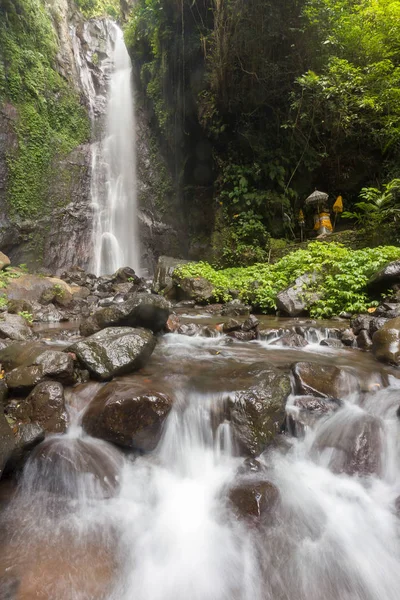 Derin bir yağmur ormanında şelale / dere.