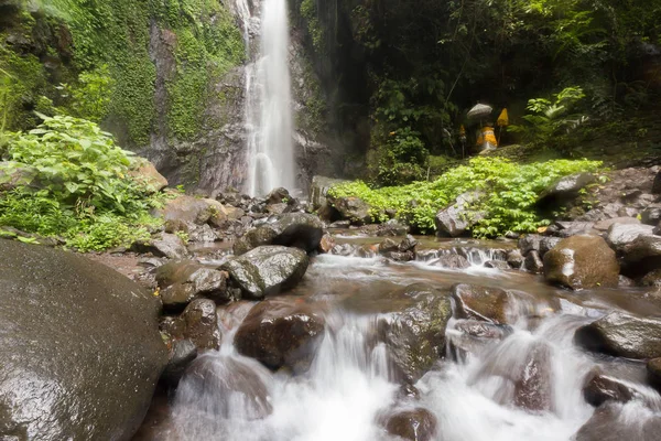 Derin bir yağmur ormanında şelale / dere.