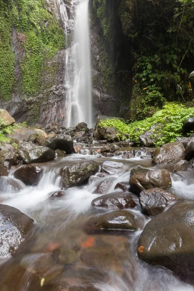 Derin bir yağmur ormanında şelale / dere.