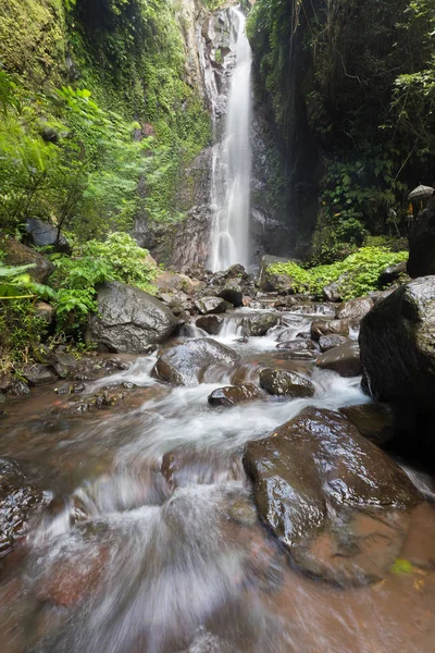 Derin bir yağmur ormanında şelale / dere.