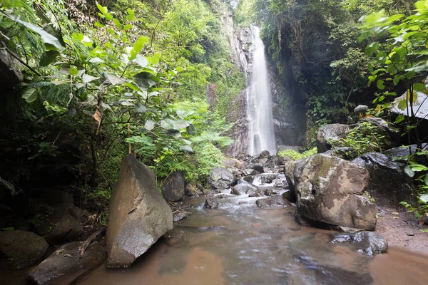 Derin bir yağmur ormanında şelale / dere.