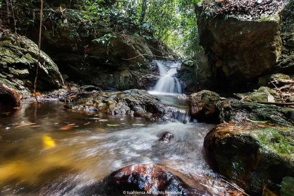 Derin bir yağmur ormanında şelale / dere.
