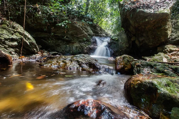 Derin bir yağmur ormanında şelale / dere.
