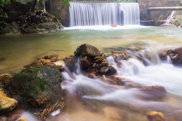 Derin bir yağmur ormanında şelale / dere.