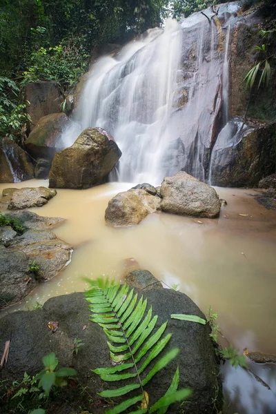 Derin bir yağmur ormanında şelale / dere.