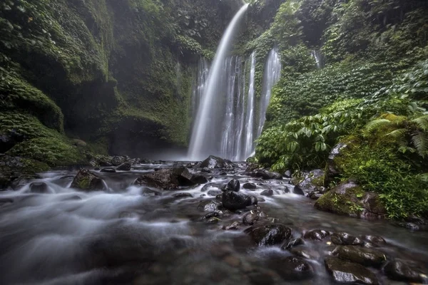 Derin bir yağmur ormanında şelale / dere.