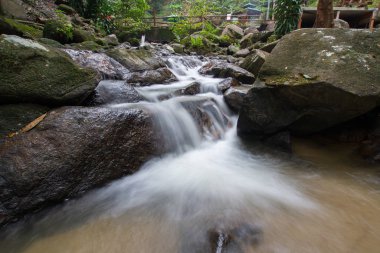 Derin bir yağmur ormanında şelale / dere.