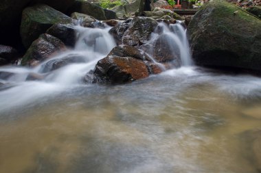 Derin bir yağmur ormanında şelale / dere.