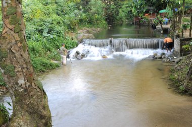 Derin bir yağmur ormanında şelale / dere.