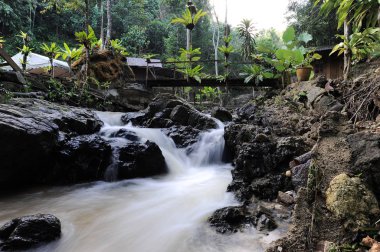 Derin bir yağmur ormanında şelale / dere.