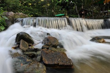 Derin bir yağmur ormanında şelale / dere.