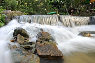 Derin bir yağmur ormanında şelale / dere.