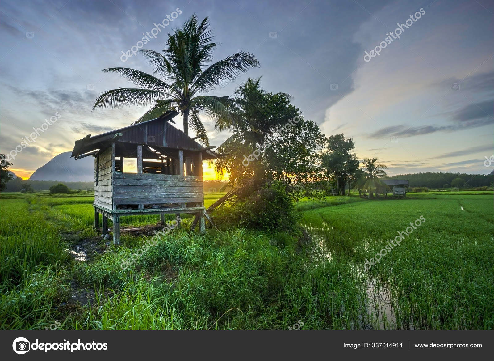rural areas in malaysia