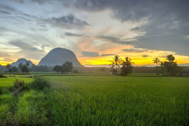 Malezya 'nın kırsal kesimindeki çeltik tarlasında inanılmaz bir gün batımı