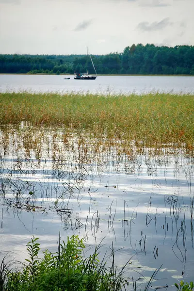 Muhteşem manzara ve Onega Gölü 'nün sükuneti.