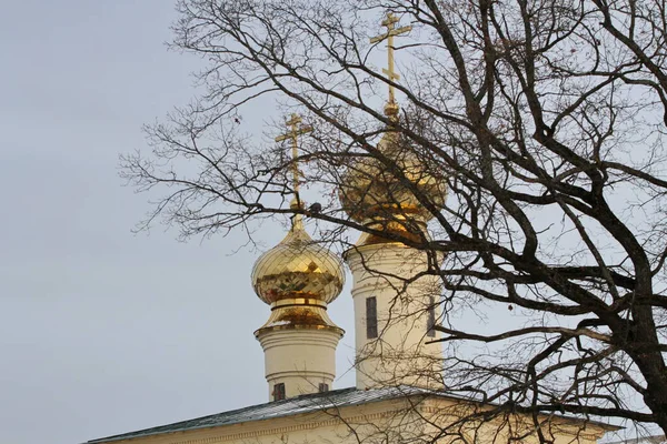 Katedral kubbeleri mavi gökyüzüne karşı Rusya 'nın Tikhvin kenti