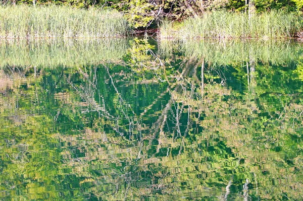 Reflexion Der Natur Schönen Wasser Der Plitvicer Seen Kroatien — Stockfoto