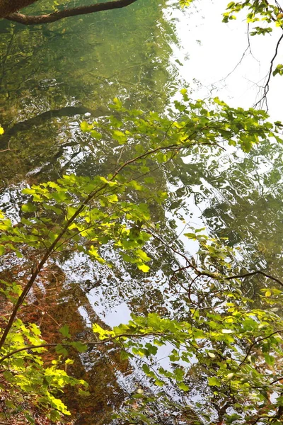 Doğanın güzel sulardaki yansıması Plitvice Hırvatistan 'ı göllüyor