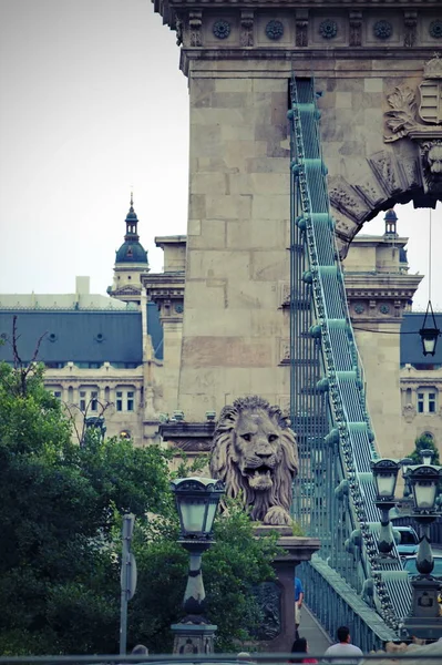 Aslan Budapeşte Köprülerindeki Çarlık Monarşisinin Bir Sembolüdür — Stok fotoğraf