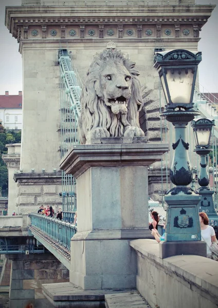 Aslan, Budapeşte köprülerindeki Çarlık monarşisinin bir sembolüdür.