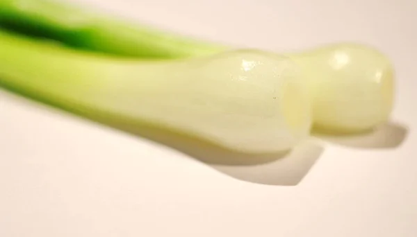 New Crop Young Green Onions Side Lighting — Stock Photo, Image