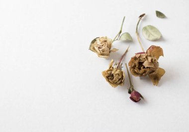 Beyaz arka planda bir buket kuru gül