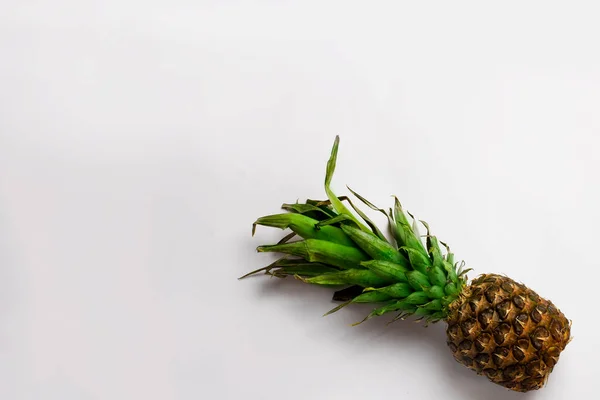 Beyaz arka planda olgun, büyük bir ananas. Diyet ve beslenme için sağlıklı meyveler