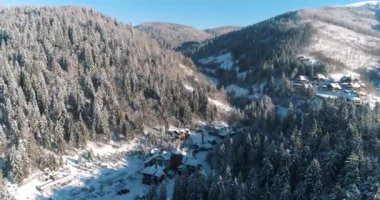 Drone görüntüleri kar ağaçları, kış doğasını güzel Avrupa hava manzarasını çam ormanı dağını, mevsimlik seyahatleri, donuk doğayı 4k