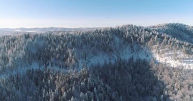 Drone görüntüleri kar ağaçları, kış doğasını güzel Avrupa hava manzarasını çam ormanı dağını, mevsimlik seyahatleri, donuk doğayı 4k